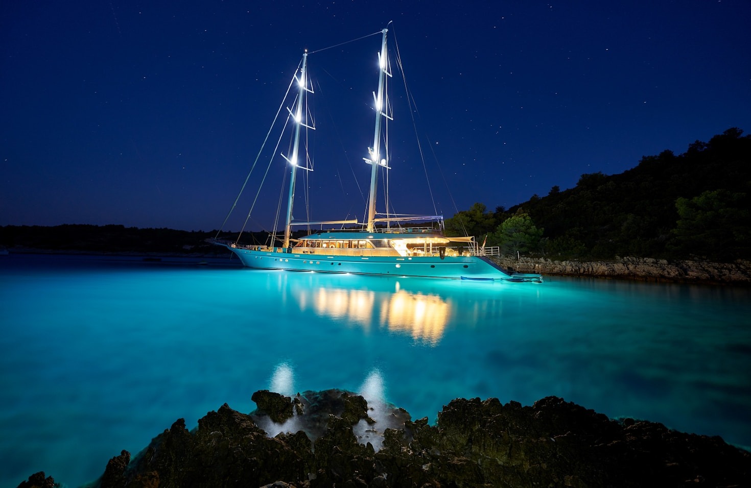 Making Every Journey Special with Pulse Charters